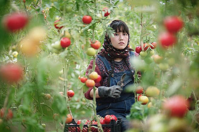 In The Land of Brothers for Vaak Fest 2025