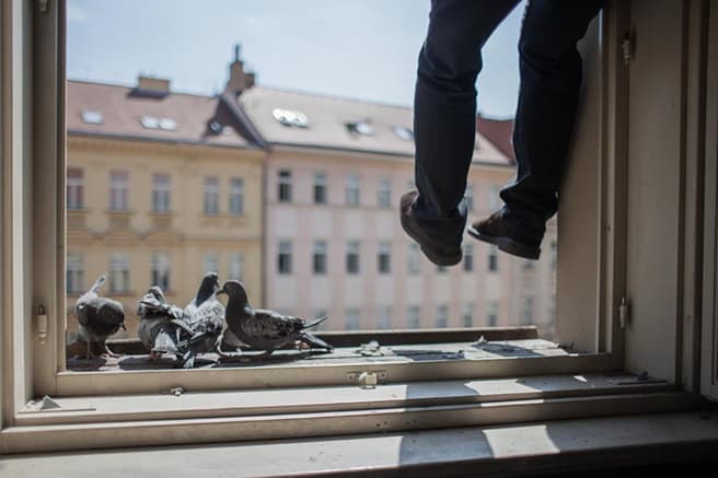 Absence for Vaak Fest 2025